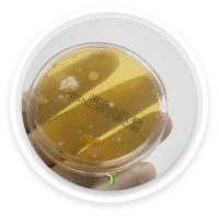 MONITORAMENTO AMBIENTAL